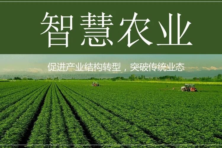 文水县农业产业化专题片解说词配音